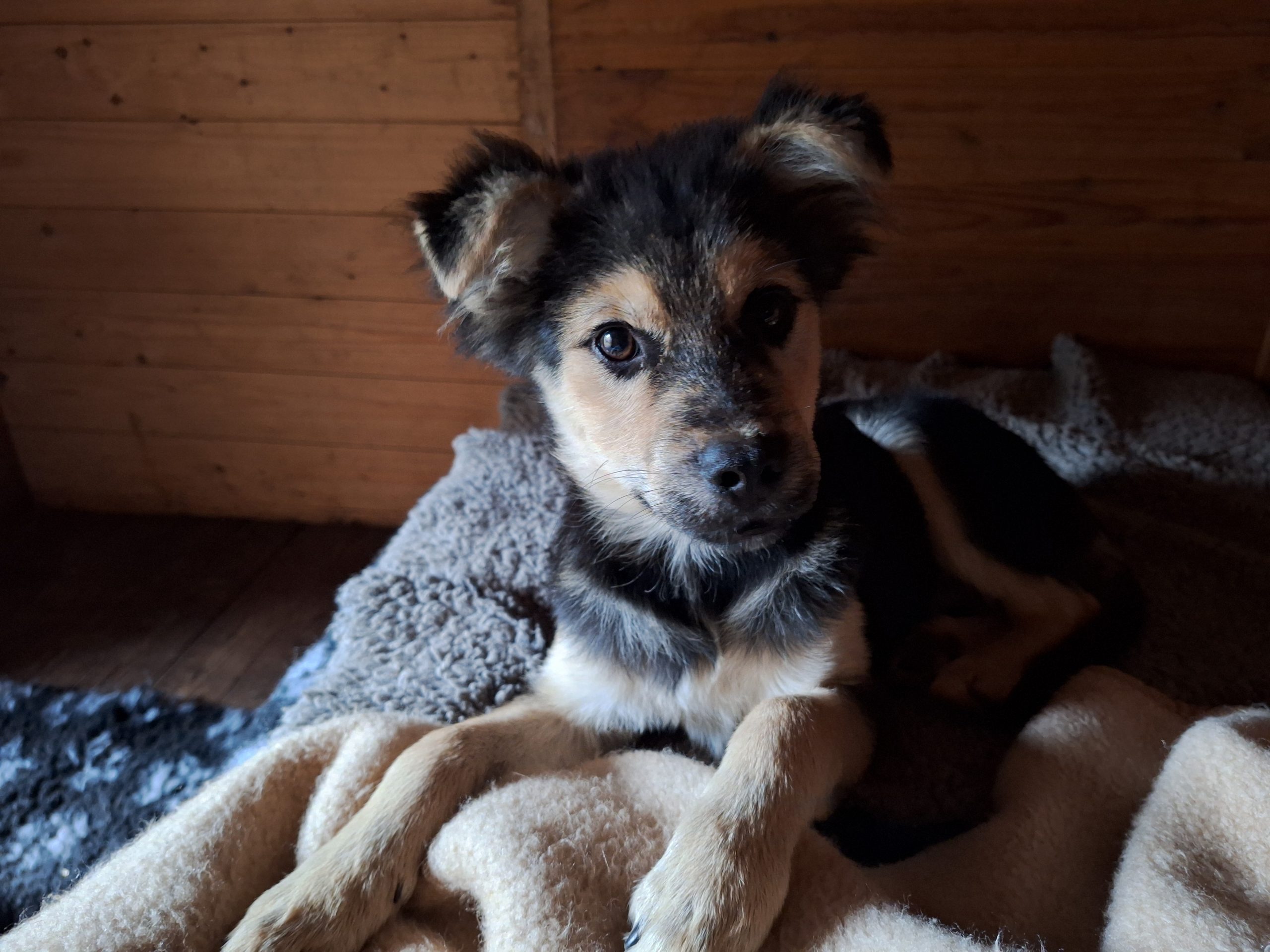 Ostseetierschutzreise Sandra Gulla und Katharine Krause